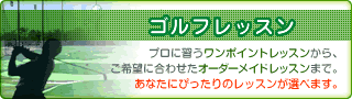 ゴルフレッスン:あなたにぴったりのレッスンが選べます。